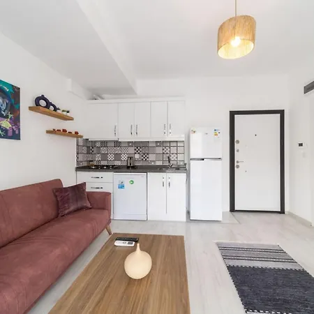 Comfortable Modern Flat With Balcony In Muratpasa Apartment Antalya